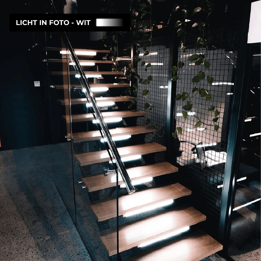 MOTIONLAMP