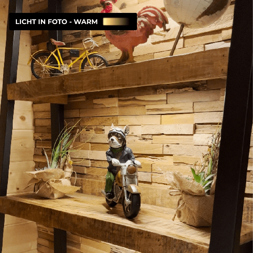 MOTIONLAMP