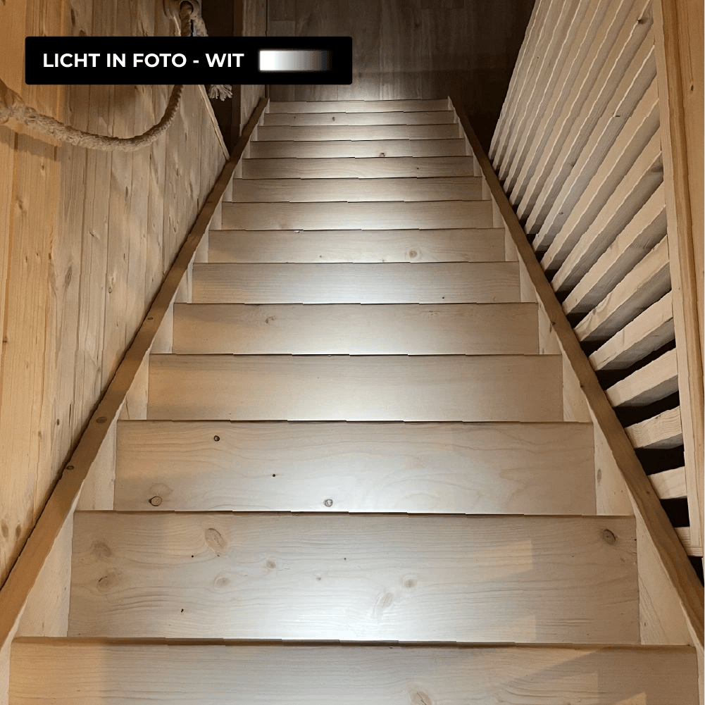 MOTIONLAMP